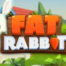 Fat Rabbit