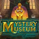 Mystery Museum