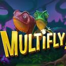 Multifly